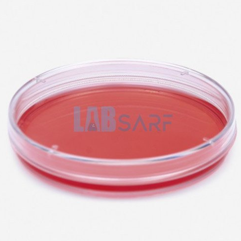 Hücre Kültürleri İçin Steril Petri Kutuları